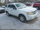 Ford Escape Xlt 1FMCU93G89KB61787 снимка