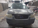 Ford Escape Xls/Xls Manual 1FMYU02Z17KA03387 fotografie