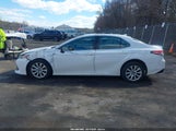 Toyota Camry Le 4T1B11HK9KU783280 снимка