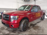 Ford F-150 Fx4 1FTFW1ET3DFA55515 снимка