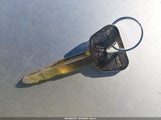 Miniaturka zdjęcia 11