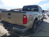 Ford F-250 Cabela's/Harley-Davidson/King Ranch/Lariat/Xl/Xlt 1FTSW2BR9AEA79834 fotografie