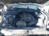 Ford Mustang Ecoboost 1FA6P8TH7G5236069 снимка