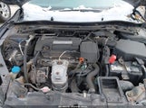 Miniaturka zdjęcia 10