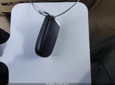 Miniaturka zdjęcia 11