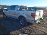Ford F-150 Fx2/King Ranch/Lariat/Platinum/Xlt 1FTFW1CT6BKS70140 photo