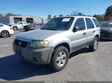 Ford Escape Xlt/Xlt Sport 1FMYU93116KC25472 fotografie