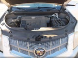 Cadillac Srx Performance Collection 3GYFNBEY7BS571075 снимка
