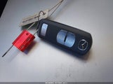 Miniaturka zdjęcia 11
