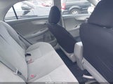 Miniaturka zdjęcia 8