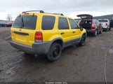 Ford Escape Xlt 1FMYU04101KF60676 снимка