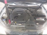 Hyundai Sonata Limited V6 5NPEU46F89H496887 снимка