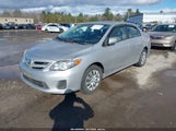 Toyota Corolla Le 2T1BU4EE8CC850588 fotografie