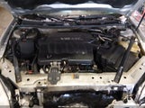 Chevrolet Impala Lt 2G1WG5E38D1265239 снимка