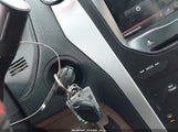 Miniaturka zdjęcia 11
