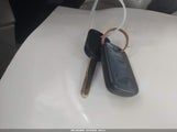 Miniaturka zdjęcia 11