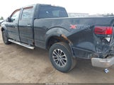 Ford F-150 Fx4/Harley-Davidson/King Ranch/Lariat/Platinum/Xl/Xlt 1FTFW1EV9AFD68646 photo