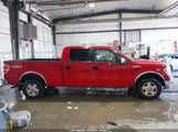 Ford F-150 Fx4/King Ranch/Lariat/Platinum/Xl/Xlt 1FTPW14VX9FA91751 photo