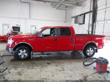 Ford F-150 Fx4/King Ranch/Lariat/Platinum/Xl/Xlt 1FTPW14VX9FA91751 photo