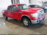 Ford F-150 Fx4/King Ranch/Lariat/Platinum/Xl/Xlt 1FTPW14VX9FA91751 photo