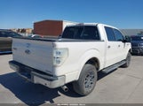 Ford F-150 Fx2 Sport/Harley-Davidson/King Ranch/Lariat/Platinum/Xl/Xlt 1FTFW1CV8AFA55056 photo
