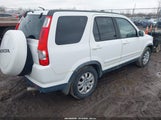 Miniaturka zdjęcia 4