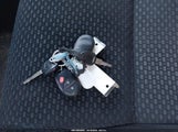 Miniaturka zdjęcia 11