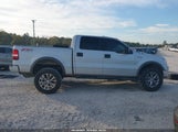 Ford F-150 Fx4/Lariat/Xlt 1FTPW14544KD13698 fotografie