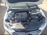 Miniaturka zdjęcia 10