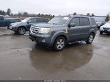 Honda Pilot Ex-L 5FNYF4H65BB015387 fotografie