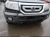Honda Pilot Ex-L 5FNYF4H65BB015387 fotografie