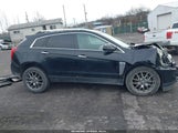 Cadillac Srx Performance Collection 3GYFNCE33GS522327 снимка