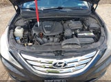 Hyundai Sonata Limited 5NPEC4AC2BH300982 снимка