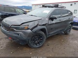 Jeep Cherokee Trailhawk 1C4PJMBN5KD100750 снимка