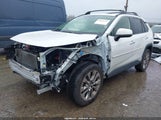 Toyota Rav4 Limited JTMN1RFV6KD517261 снимка