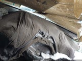 Chevrolet Camaro 1Lt 1G1FB1RX0H0117527 снимка