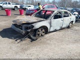Chevrolet Impala Ls 2G1WF5EK3B1292923 снимка
