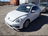 Volkswagen Beetle 2.0T Se 3VWJD7AT8KM717818 fotografie