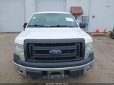 Ford F-150 Xl 1FTFW1EF6EFD13067 снимка