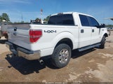 Ford F-150 Xlt 1FTFW1ET2DKF78371 снимка