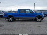 Ford F-150 Fx4/King Ranch/Lariat/Platinum/Xl/Xlt 1FTPW14V99KA17132 fotografie