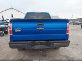 Ford F-150 Fx4/King Ranch/Lariat/Platinum/Xl/Xlt 1FTPW14V99KA17132 fotografie