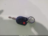 Miniaturka zdjęcia 11