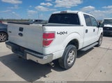 Ford F-150 Xlt 1FTFW1ET8DKD91135 снимка