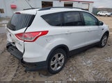 Ford Escape Se 1FMCU0GX5EUB82438 снимка
