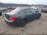 Toyota Corolla Le 1NXBU4EEXAZ342764 fotografie