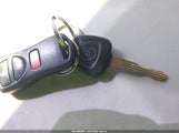 Miniaturka zdjęcia 11