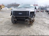 Ford F-150 Fx4 1FTFX1ET3EFC49055 снимка