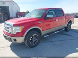 Ford F-150 Fx4/King Ranch/Lariat/Platinum/Xl/Xlt 1FTPW14VX9FA97730 fotografie