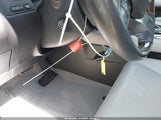 Miniaturka zdjęcia 11
